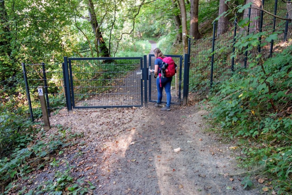 Het hek langs de grens dat de Duitse wilde zwijnen moet tegenhouden. Gelukkig: voor de Gendarmenpad-wandelaars zijn er poortjes. 