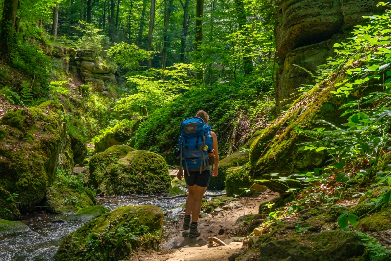 In deze presentatie nemen we je mee langs vier indrukwekkende routes: de Dutch Mountain Trail, de National Park Trail Hoge Kempen, de Mullerthal Trail en de Hermannshöhen.