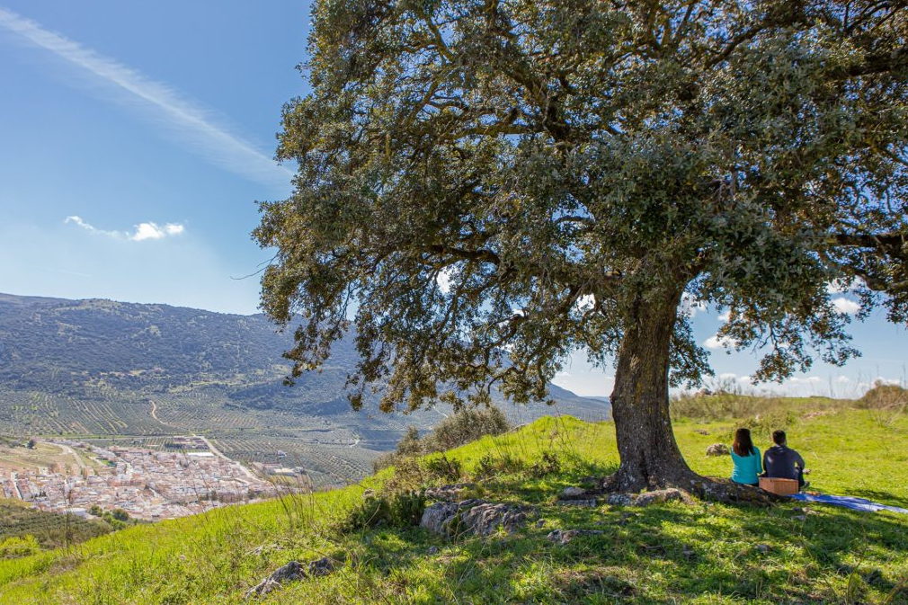 Natuurpark Sierra Subbetica ligt in Andalusië. In de dorpjes kun je musea, kastelen en andere fascinerende monumenten bezoeken, meer dan genoeg om iedereen die geïnteresseerd is in wandelen en fietsen tevreden te stellen.