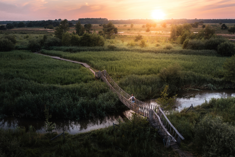 Het Dommelpad in Brabant, de hangbrug bij de Groote Heide