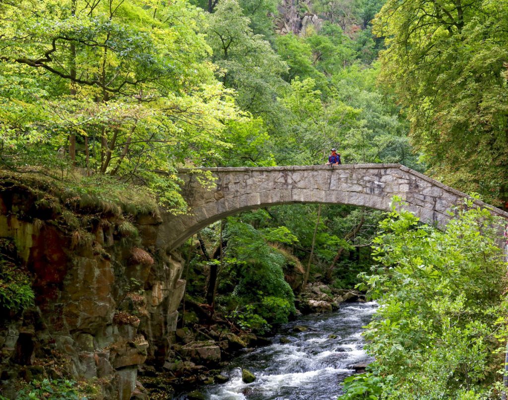 Brug over de Bode-rivier in Bodetal