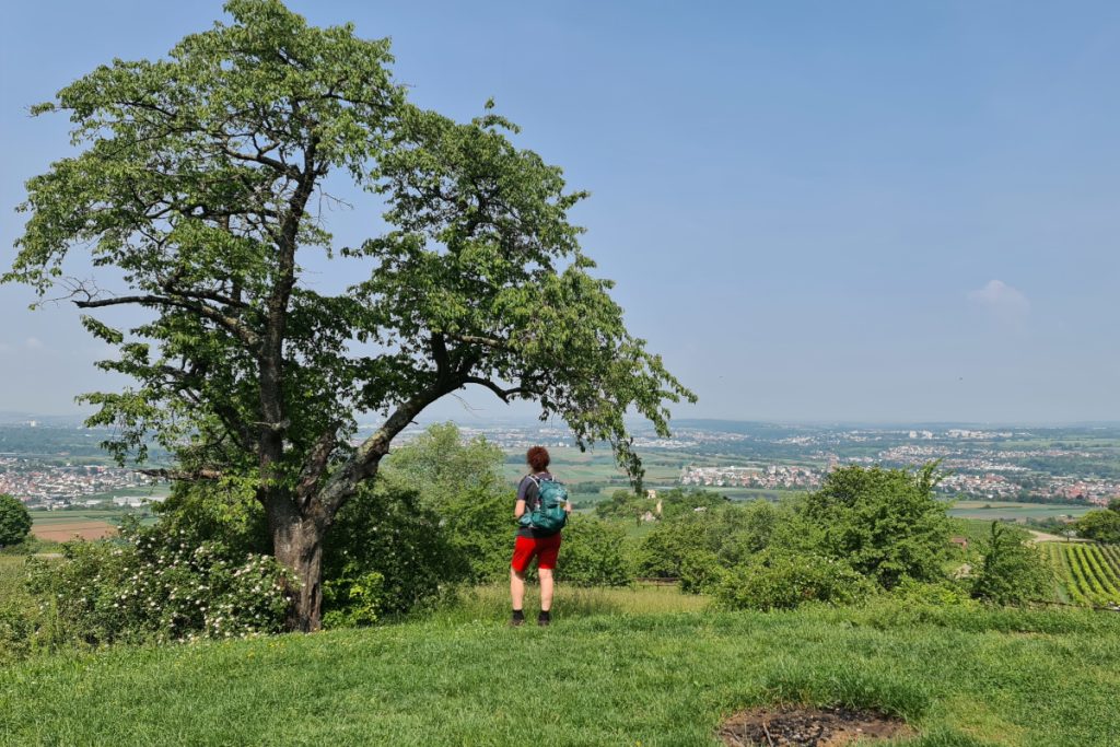 Een lezing volop wandelvakantie inspiratie.